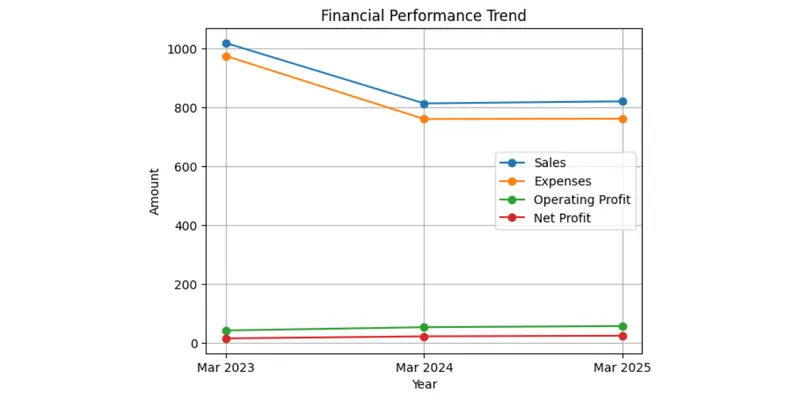 Financial Statement Analysis
